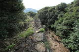 対馬 清水山城の写真