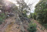 対馬 清水山城の写真