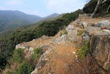 対馬 清水山城の写真