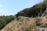 対馬 清水山城の写真