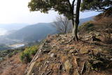 対馬 清水山城の写真