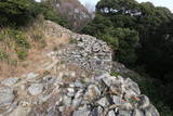 対馬 清水山城の写真