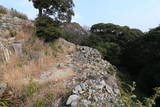 対馬 清水山城の写真