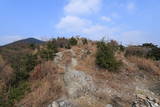 対馬 清水山城の写真