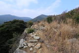 対馬 清水山城の写真