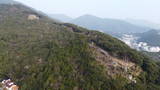 対馬 清水山城の写真