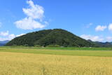 若狭 茶磨山城の写真