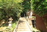 若狭 茶磨山城の写真