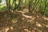 若狭 茶磨山城の写真