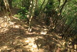 若狭 茶磨山城の写真