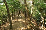 若狭 茶磨山城の写真