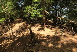 若狭 茶磨山城の写真