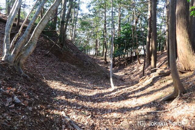 若狭 堂谷山城の写真