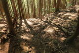 若狭 石山城の写真