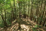 若狭 石山城の写真