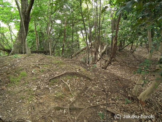 若狭 岩出山砦の写真