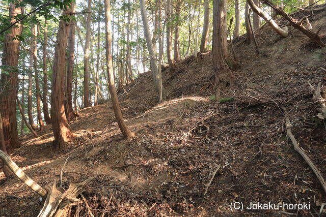 若狭 稲葉山城(加斗)の写真