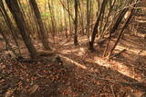 若狭 稲葉山城(加斗)の写真