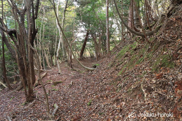 若狭 海坂山城の写真