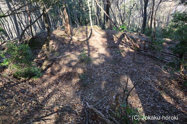 若狭 駈倉山城の写真