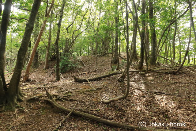 若狭 南前川城の写真