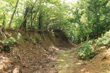 若狭 南前川城の写真