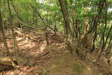 若狭 南前川城の写真