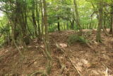 若狭 南前川城の写真