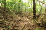若狭 南前川城の写真