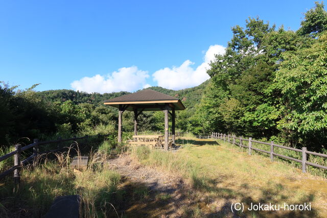 若狭 若王子山城の写真