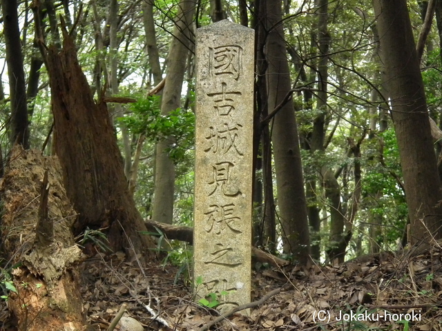 若狭 中山の付城の写真