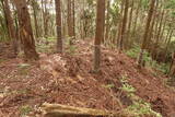若狭 中山の付城の写真