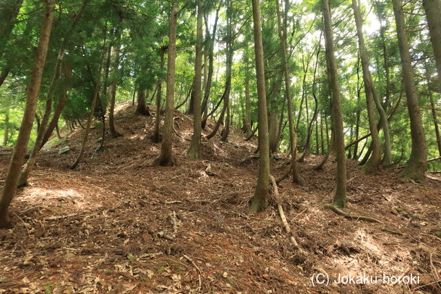 若狭 能登野城の写真