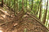 若狭 能登野城の写真
