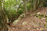 若狭 白石山城の写真