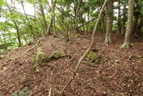 若狭 白石山城の写真