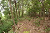 若狭 白石山城の写真
