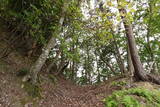 若狭 白石山城の写真