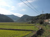 若狭 白石山城の写真