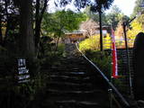 若狭 白石山城の写真