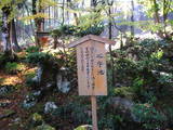 若狭 白石山城の写真