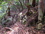 若狭 白石山城の写真