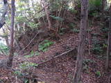 若狭 白石山城の写真