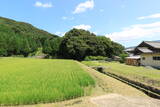 若狭 白屋北山城の写真