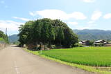 若狭 白屋北山城の写真