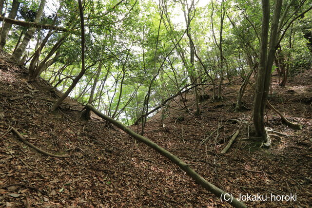 若狭 谷小屋城の写真