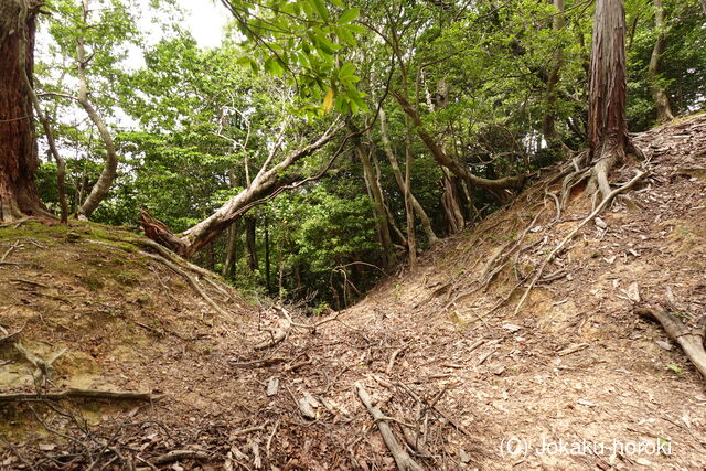 若狭 山上田ノ上城の写真