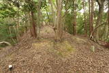 若狭 山上田ノ上城の写真