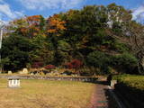 若狭 湯岡城の写真