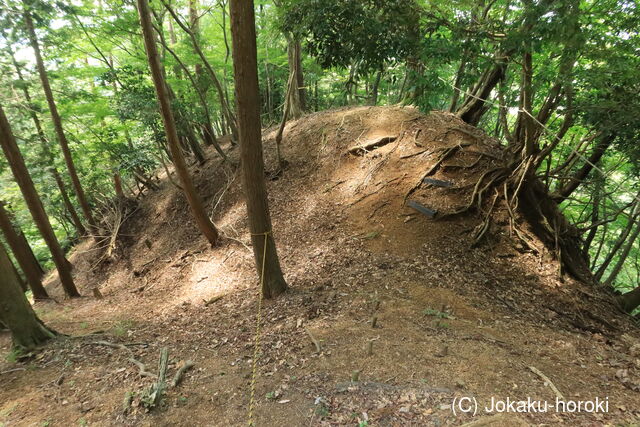 若狭 膳部山城の写真